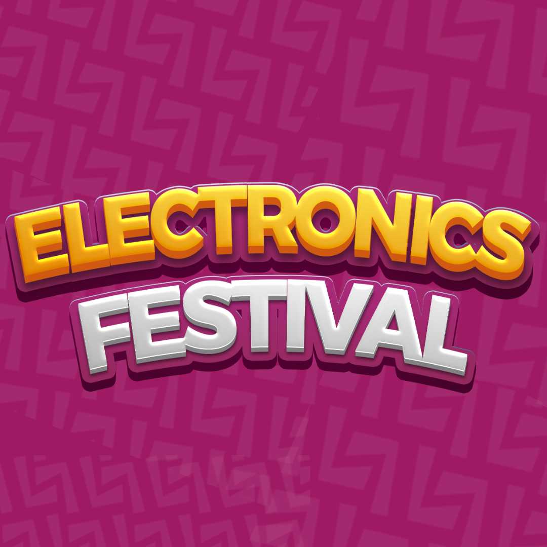 Electronics Festival