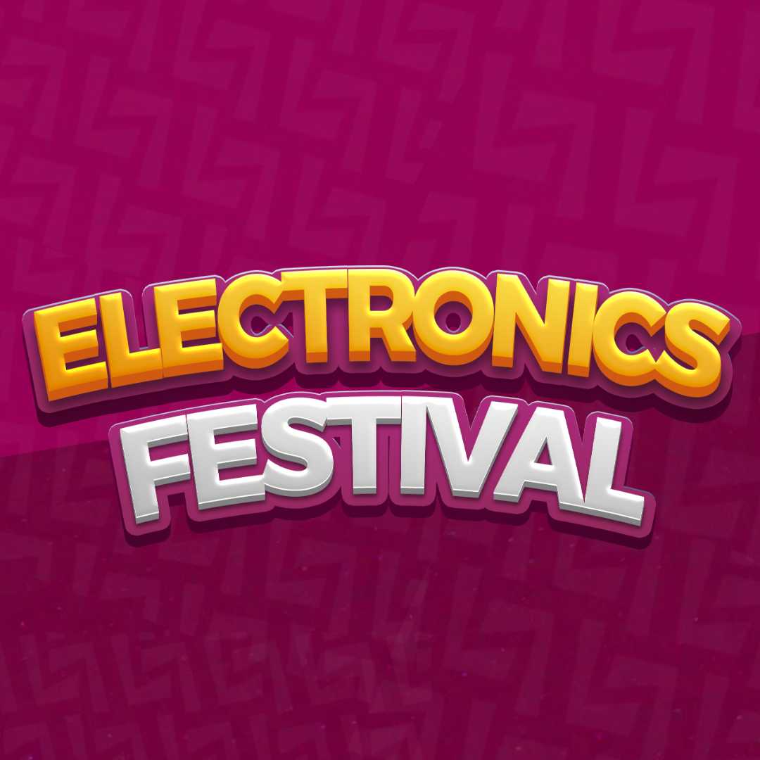 Electronics Festival