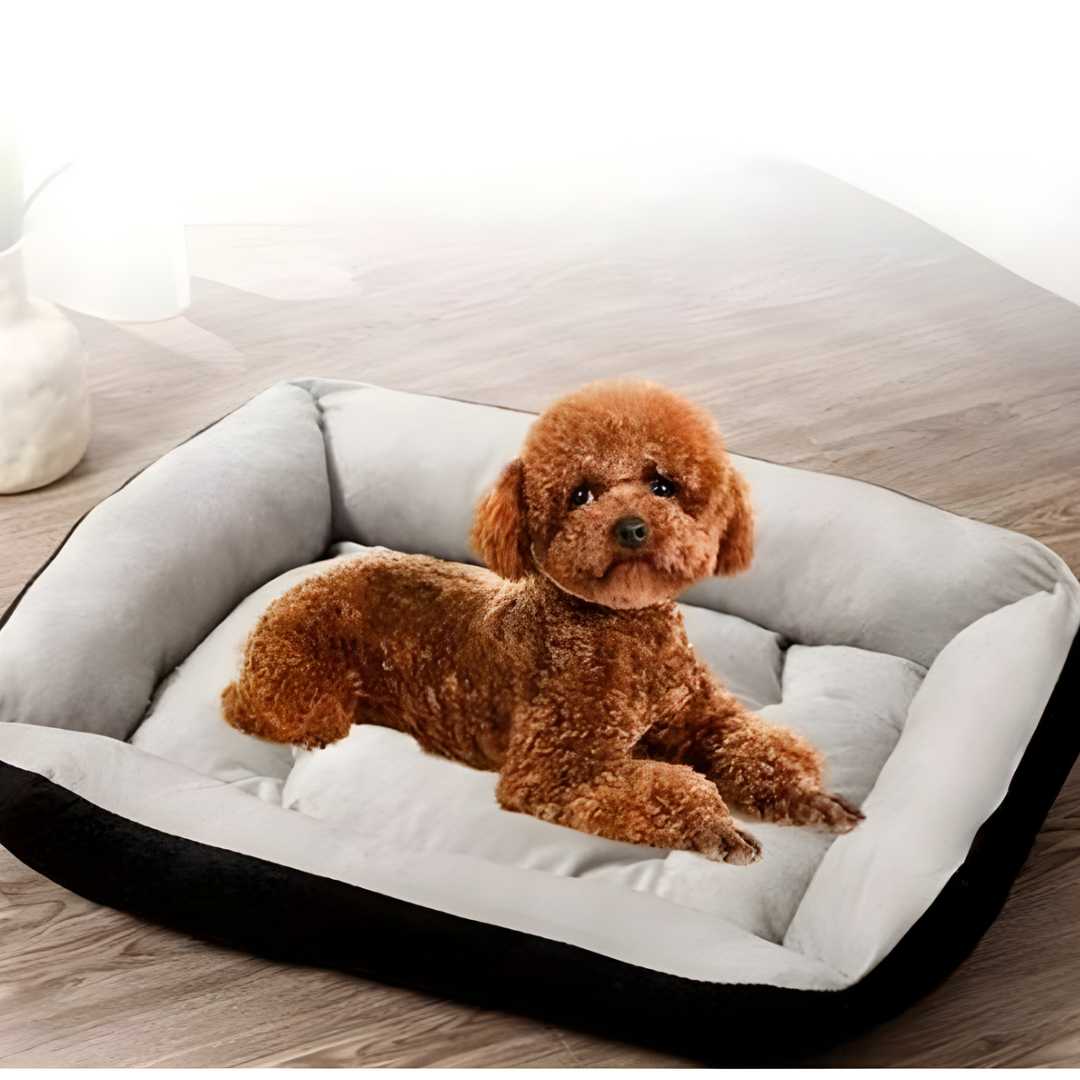 مستلزمات الحيوانات الأليفة