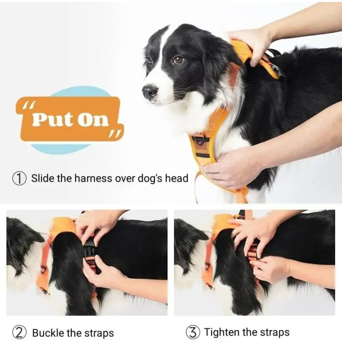 2_in_1_dog_harness_retractable_dog_leashdetail-04
