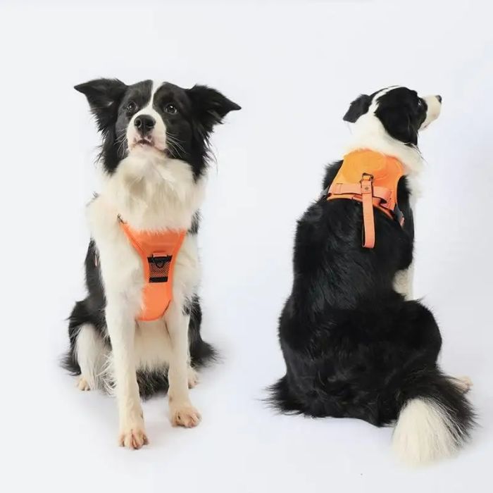 2_in_1_dog_harness_retractable_dog_leashmain-06