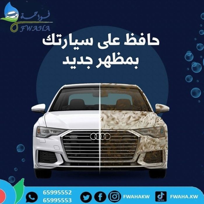 Professional car wash