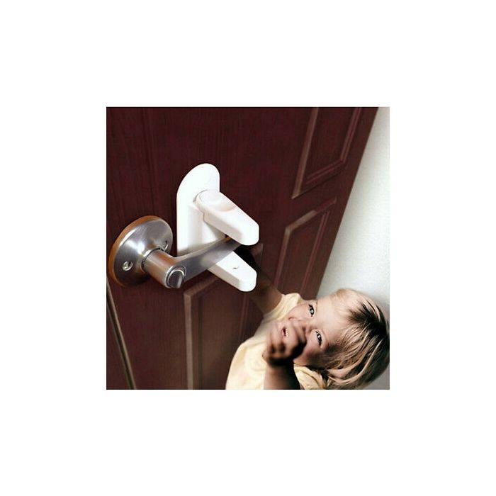 71fbe984-2ede-440b-8927-8de7ada8ac28_1