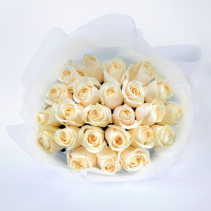 rfo0016-