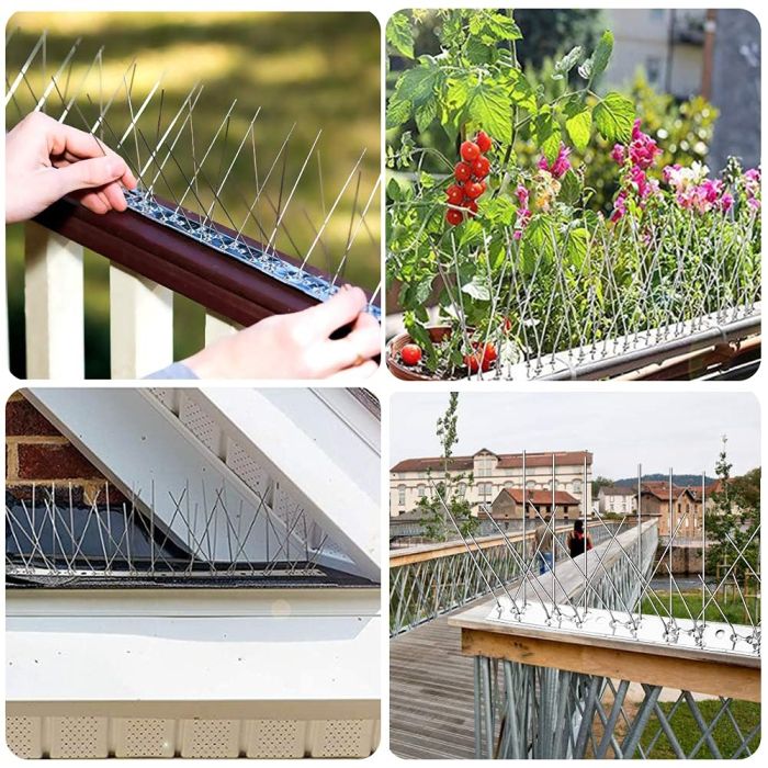 stainless_steel_bird_repellent_spikes_-_50_cm_3_
