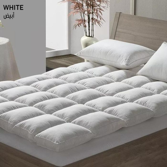 whatsapp_image_2022-02-11_at_12.16.04_am