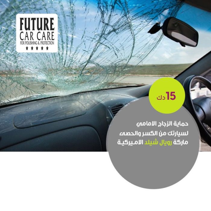 wind-screen-protection_5_2