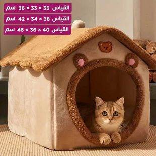 بيت مغلق للقطط والكلاب بتصميم الدب البني
