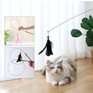 لعبة تحفيز القطط