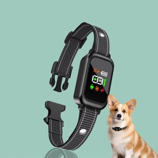 Bark Training Collar for Dogs