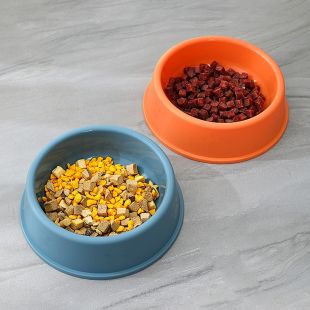 Plastic Food Bowl Pet 21× 6cm