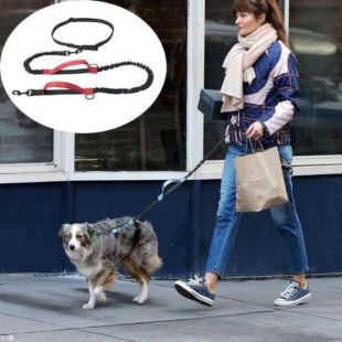 Waist Belt with Multi-Purpose Elastic Dog Leash