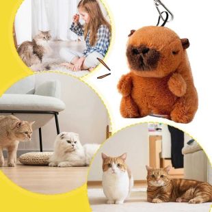 Sensor Sound Pet Toy