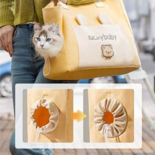 Foldable and breathable pet travel bag