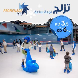  ساعة من المرح والتزلج في Promenade Ice
