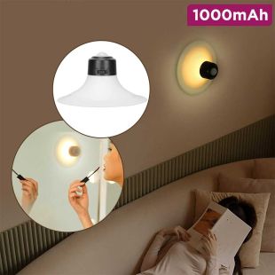 Body Induction Night Light