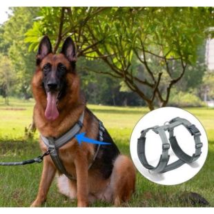 حزام صدر مقاوم للإندفاع للكلاب