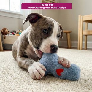 Toy for Pet Teeth Cleaning with Bone Design