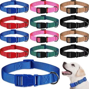 Width Nylon Buckle Collar Large 2.5 × 60cm