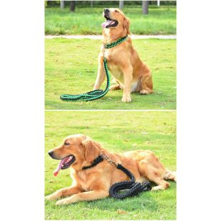 Dog Chest Harness Set with Leash and Collar