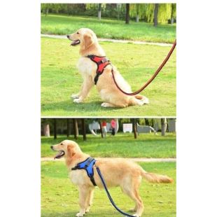 Adjustable Dog Chest Harness with Leash