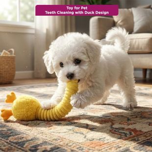 Toy for Pet Teeth Cleaning with Duck Design