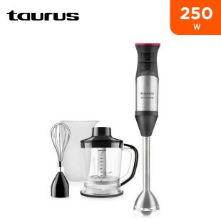 4-in-1 Bapi 1200 Plus Inox Hand Blender 250W by Taurus