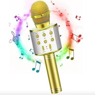 Karaoke Microphone with Bluetooth Speaker