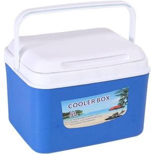 MIRALUX Portable 5L Insulated Cooler Box