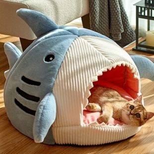Shark Design Enclosed Cat House for Winter
