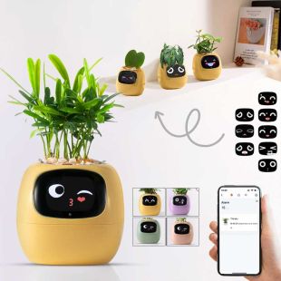 Smart Planter Interactive Robot Bowl