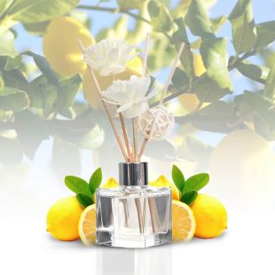 Aromatic Wood Sticks Aromatherapy Lemon 50 Ml