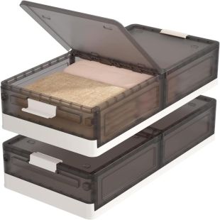 2 Pack Plastic Storage Box