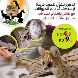 استمتع بأفضل تجربة لاستكشاف الحيوانات في Amazon River