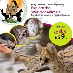 Enjoy Best Experience Exploring Animals from Amazon River