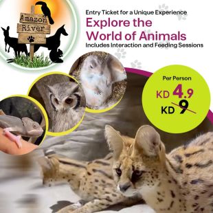 Enjoy Best Experience Exploring Animals from Amazon River