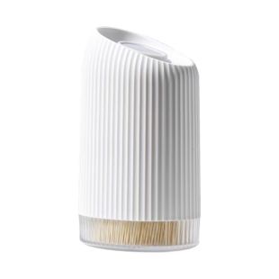 Elegant Portable Toothpick Case