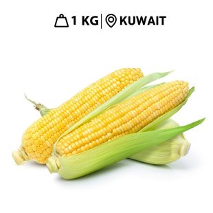 Fresh Kuwaiti Sweet Corn (1 kg Approx.)