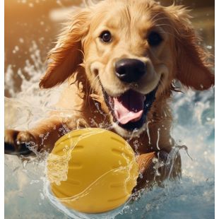 Ball Fun Pet Toy Made Of EVA Material