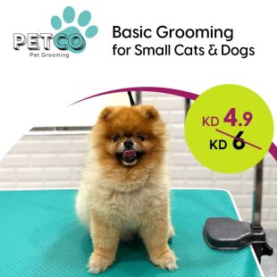 Standard Grooming for Cats and Small Dogs at Petco