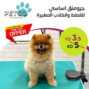جرومينج أساسي للقطط والكلاب الصغيرة من PETCO