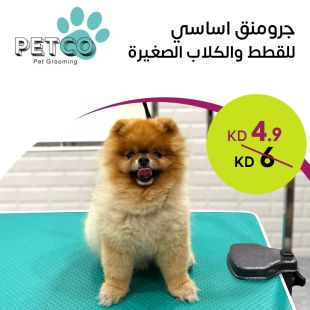 جرومينج أساسي للقطط والكلاب الصغيرة من PETCO