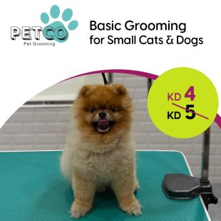 Standard Grooming for Cats and Small Dogs at Petco