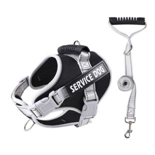 حزام تدريب للكلاب مع مقود