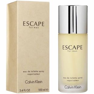 Calvin Klein Escape 100ml EDT For Men