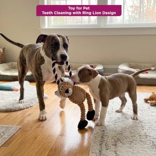 Toy for Pet Teeth Cleaning with Ring Lion Design