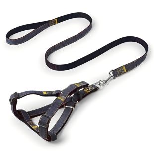Denim Pet Walking Belt