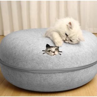 Donut Shaped Semi-Enclosed Cat House