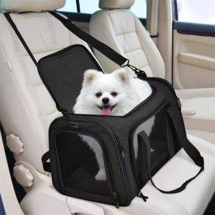 Expandable And Foldable Pet Bag