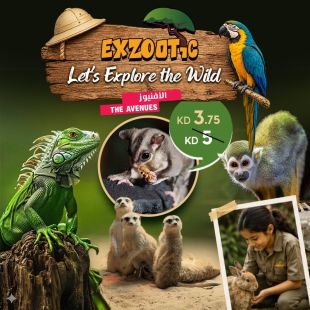 Let&rsquo;s Explore the Wild with Exzootic - The Avenues